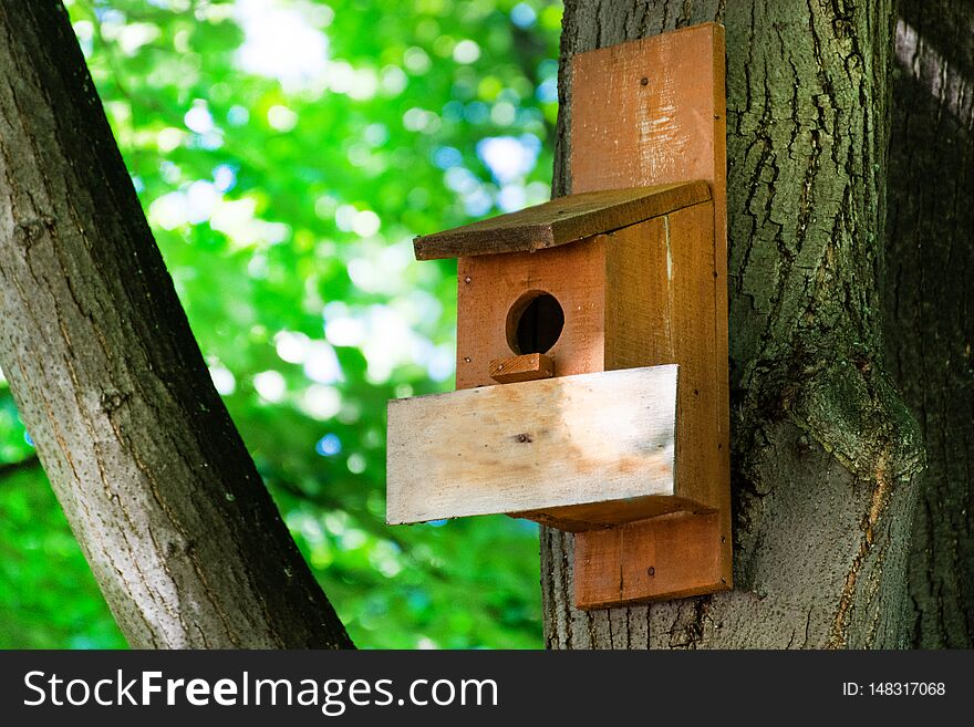 Birdhouse on a tree in forest park on spring day, hand wood shelter for birds to spend the winter. Wooden empty plank for text. Environment and helping to animal concept. Close up, selective focus