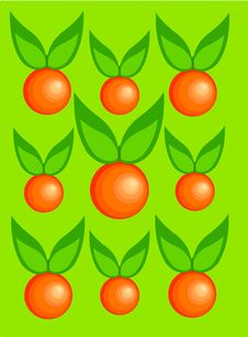 Oranges Stock Photography Oranges Stock Photography