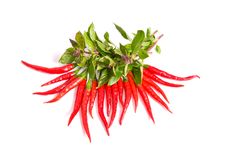 Green Basil And Red Peppers On A White. Stock Photography Green Basil And Red Peppers On A White. Stock Photography