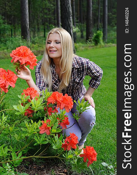 Beautiful gardener woman with red flower bush