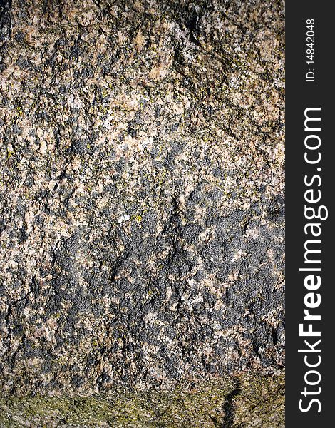 The texture of the rock surface