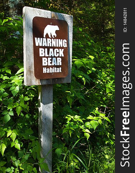 Sign warning hikers of black bears. Sign warning hikers of black bears.