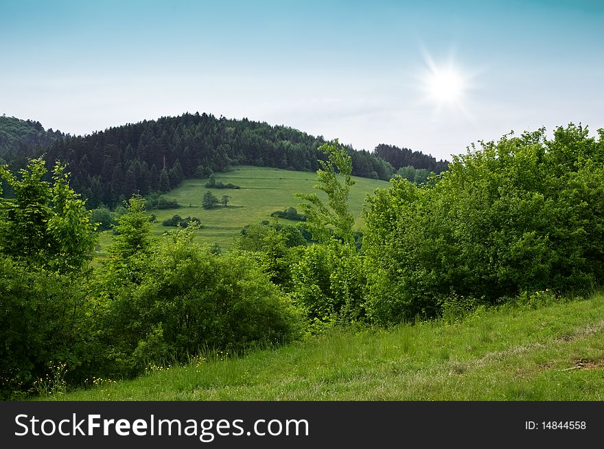 Mountain landscape in summer time