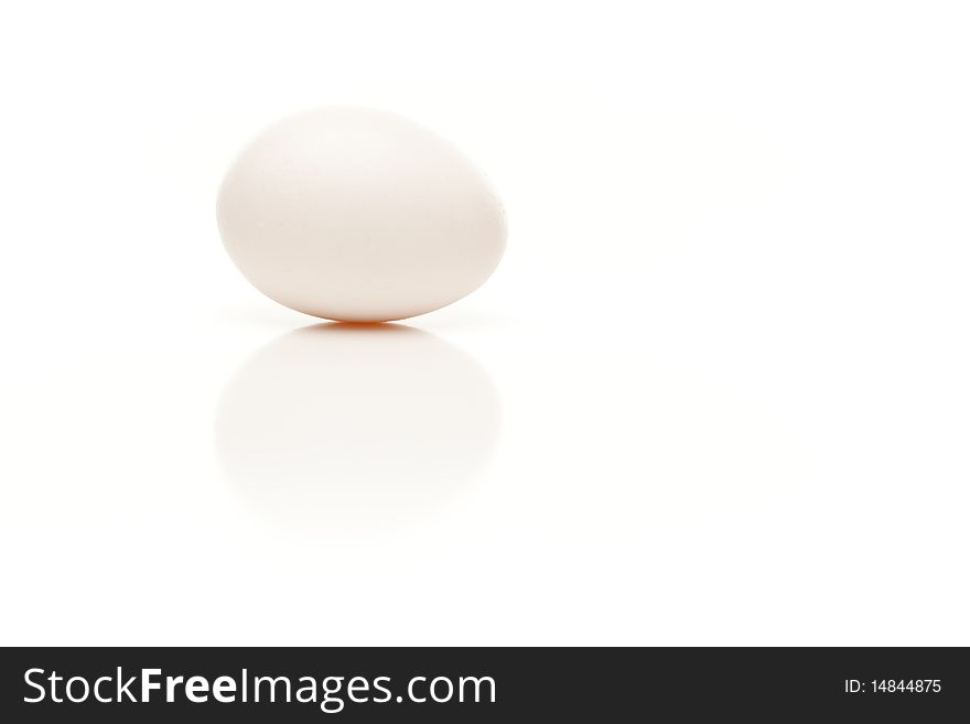 Single White Egg Isolated on a White Background. Single White Egg Isolated on a White Background.