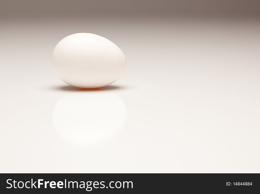 White Egg On Gradated Background