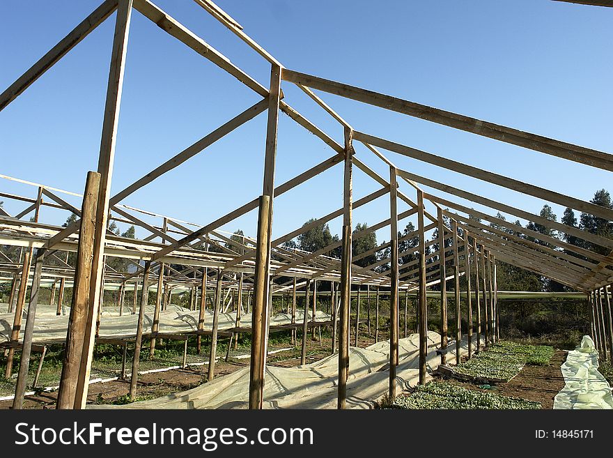 Greenhouse constructed in wood for the seed germination for plants Of cultivation. Greenhouse constructed in wood for the seed germination for plants Of cultivation.