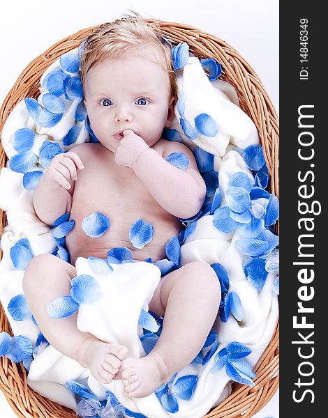Baby boy with flower flakes on white background