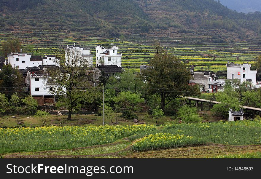 Chinese Style building in the village