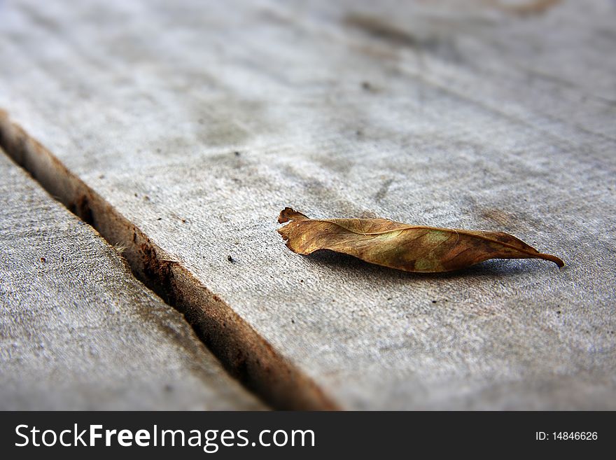 A dried leaf on an old wooden table outdoors. Focus is on the leaf with a blurred background. A dried leaf on an old wooden table outdoors. Focus is on the leaf with a blurred background.
