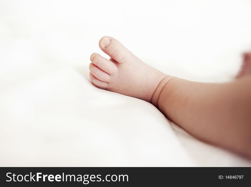 Newborn baby foot and leg on white. Newborn baby foot and leg on white