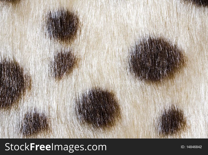 Texture of leopardskin Pattern fabric background