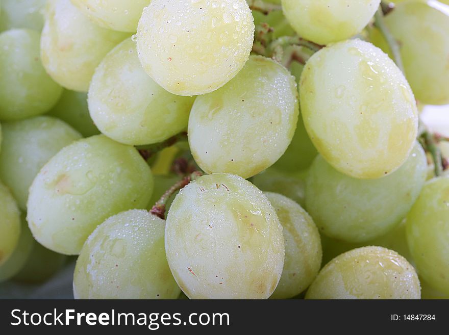 Cluster of ripe grapes with berries of green colour.