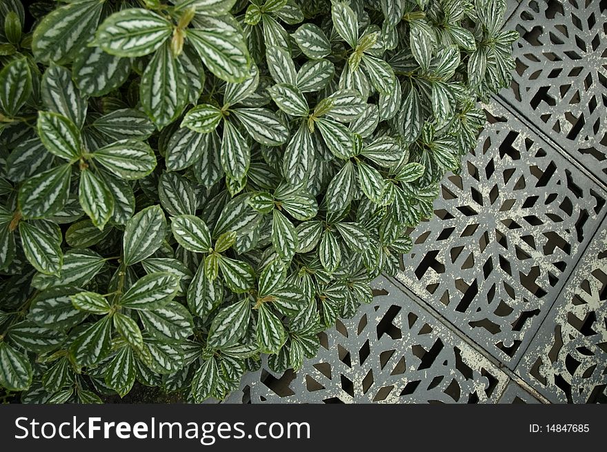 Floral pattern and metal ornament floor