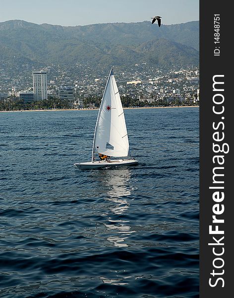 The yacht under sails floating on the sea