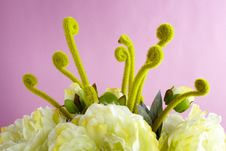 Artificial Flower Royalty Free Stock Photo Artificial Flower Royalty Free Stock Photo