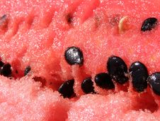 Fresh Melon Detail Royalty Free Stock Photos Fresh Melon Detail Royalty Free Stock Photos