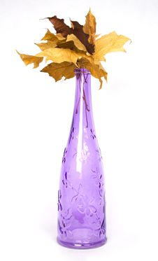 Purple Bottle With Wither Maple Leaves Royalty Free Stock Photography Purple Bottle With Wither Maple Leaves Royalty Free Stock Photography