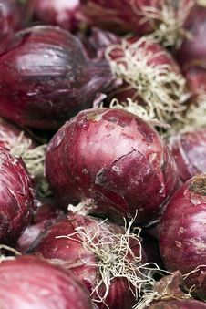 Red Onions Royalty Free Stock Image Red Onions Royalty Free Stock Image