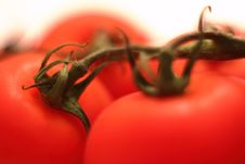 Organic Tomato Macro Stock Photos Organic Tomato Macro Stock Photos