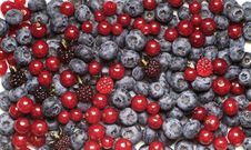 Berry Fruit Stock Image Berry Fruit Stock Image