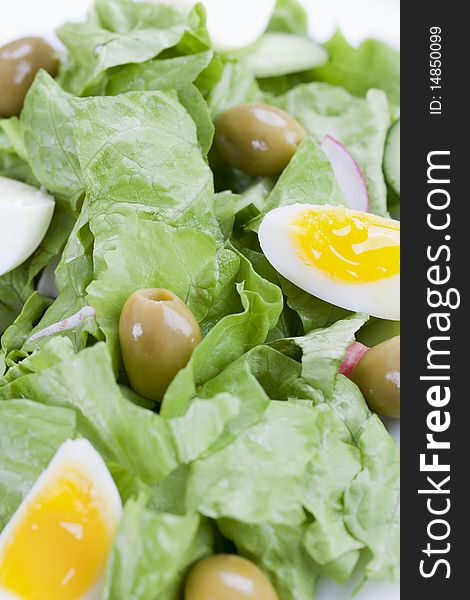 Freshly made salad of lettuce and eggs