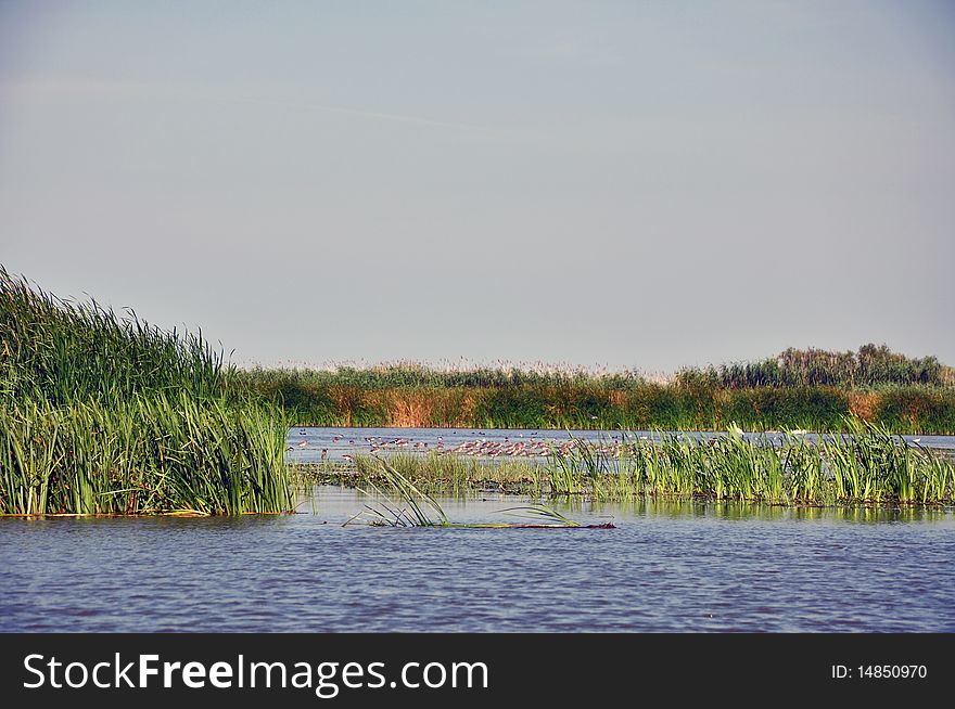 Biosphere reservation danube delta at sf gheorghe