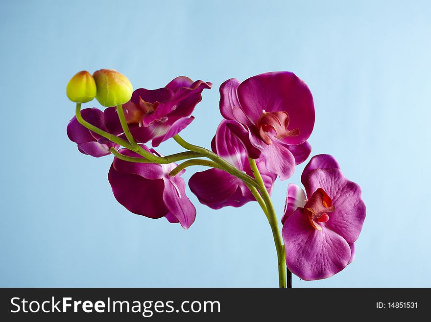 Under clean background artificial flower