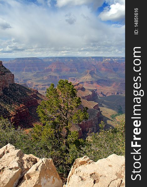 Grand Canyon National Park (South Rim), USA. Grand Canyon National Park (South Rim), USA