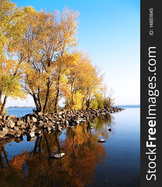 Autumn trees on the stones (breakwater)