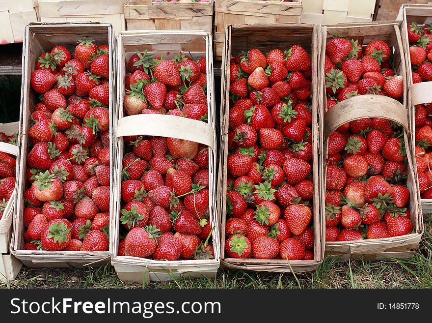 Wood splint basket with strawberries