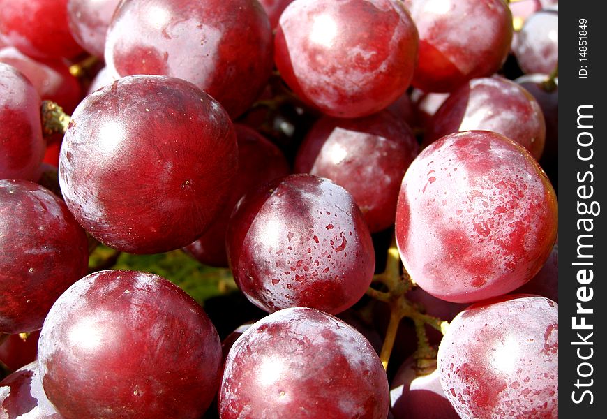 Detail photo texture of the fresh red grapes background. Detail photo texture of the fresh red grapes background