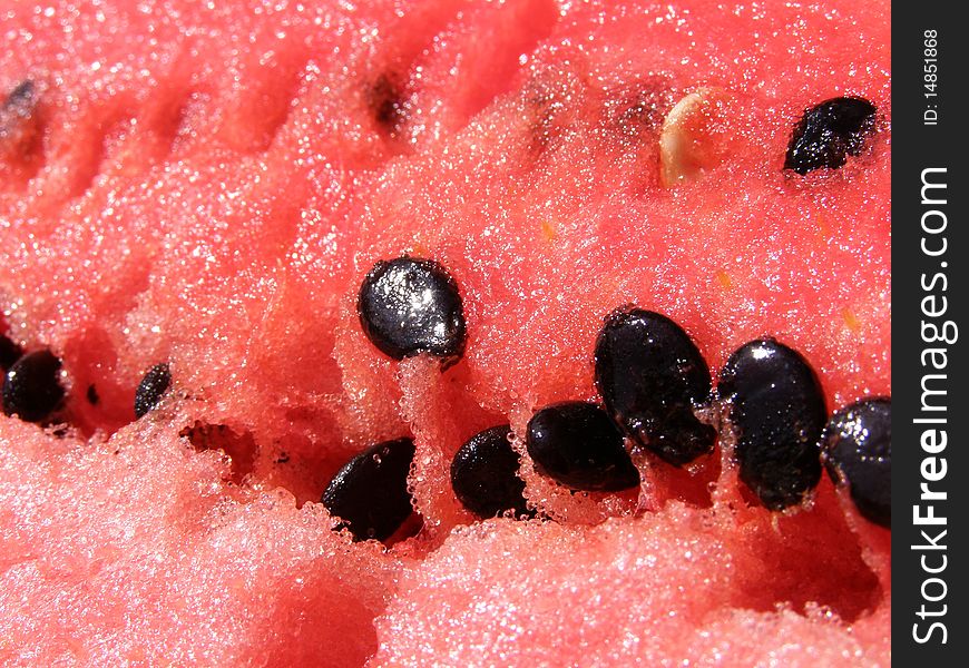 Detail photo texture of melon background. Detail photo texture of melon background