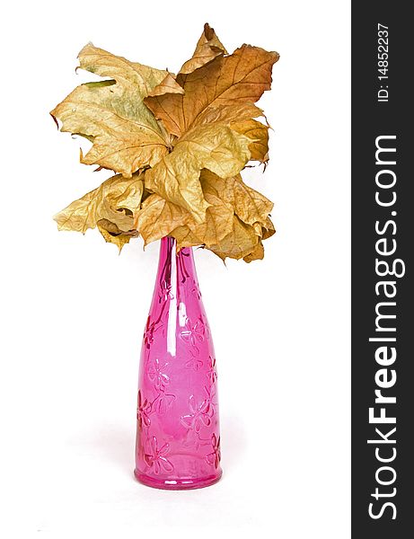 Pink design decorative bottle with wither maple leaves. Pink design decorative bottle with wither maple leaves