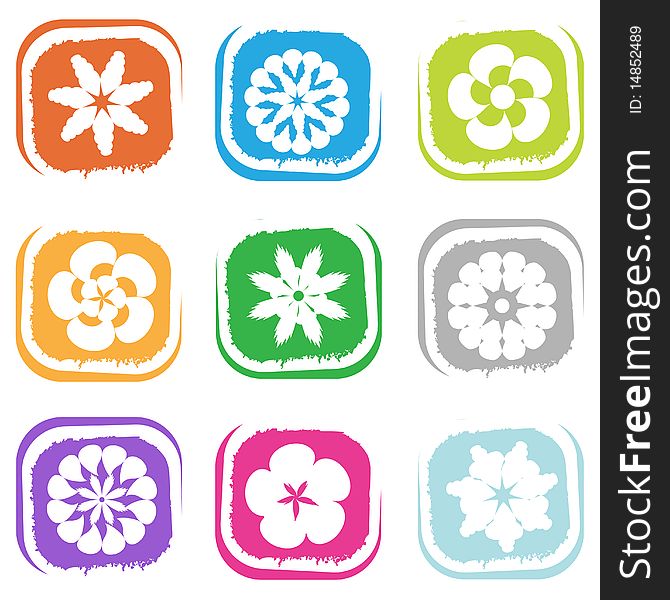 Set of flower design elements vector