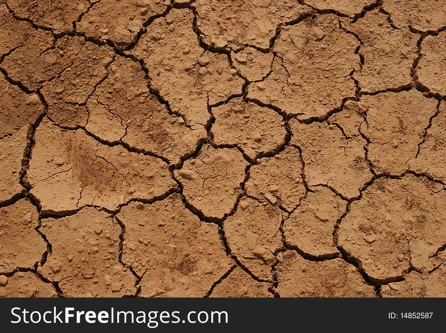 Aridity, parched land after a hot summer