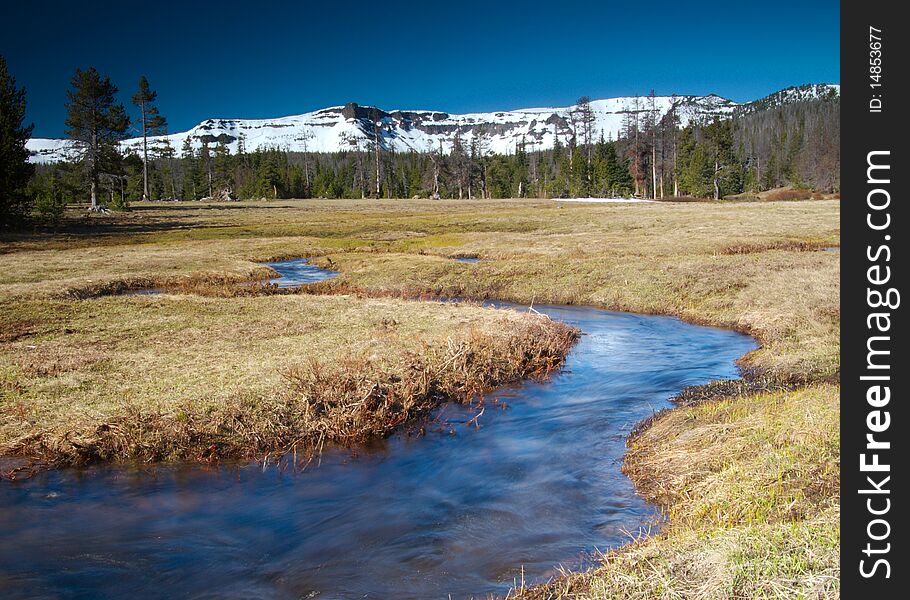 A stream flows through an alpine meadow in the foothills of the Cascade Mountains. A stream flows through an alpine meadow in the foothills of the Cascade Mountains