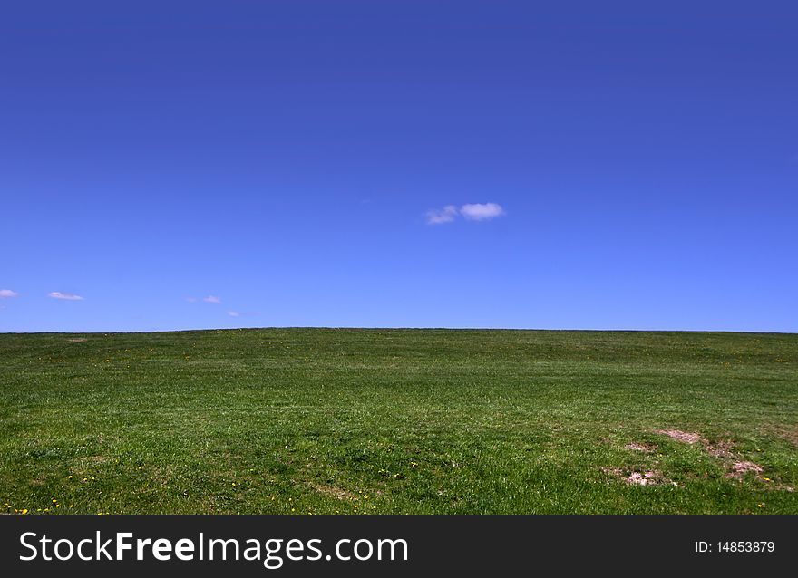 Field of green grass against blue sky background. Field of green grass against blue sky background
