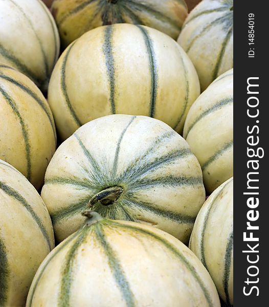 A close up group of organic yellow and green cantaloupe melons. A close up group of organic yellow and green cantaloupe melons