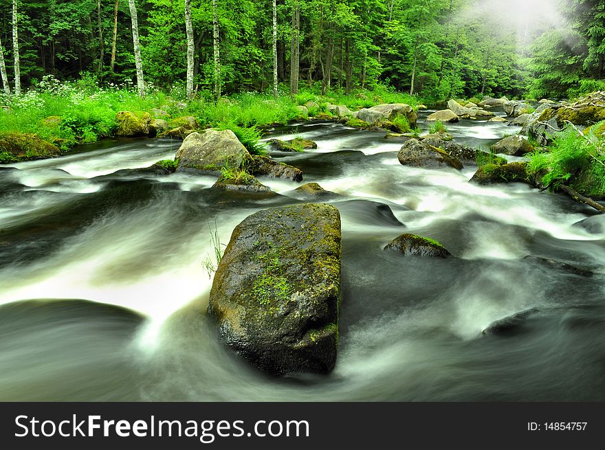 Wild river through green forest