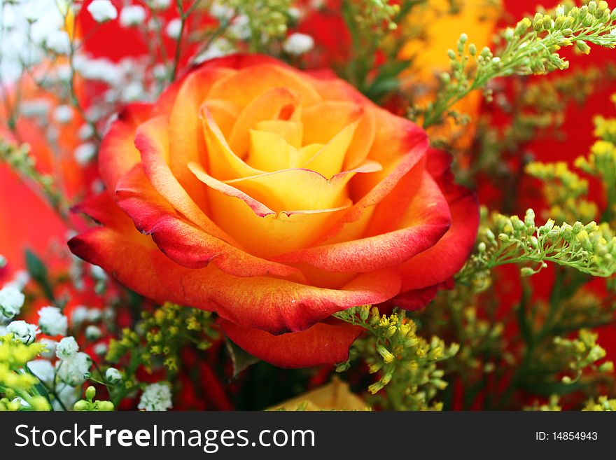Bouquet from orange rose and green branches