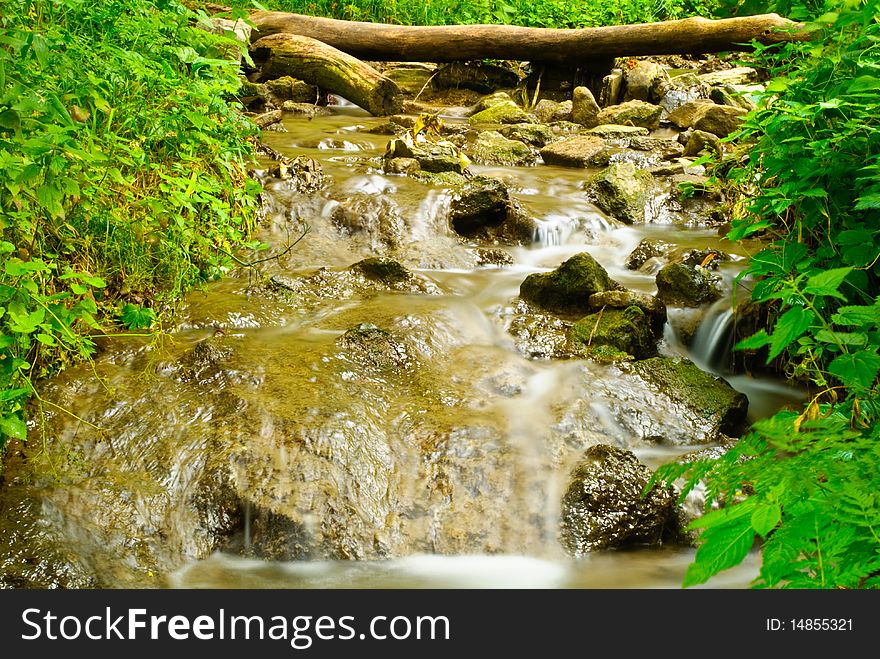 Forest rocky brook