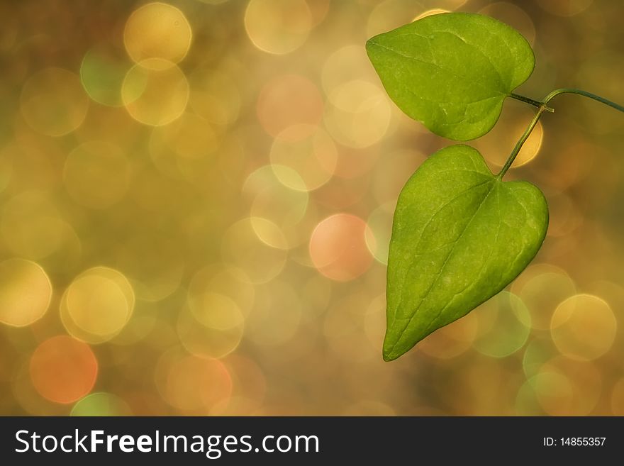 Green leaves on golden bokeh background. Green leaves on golden bokeh background