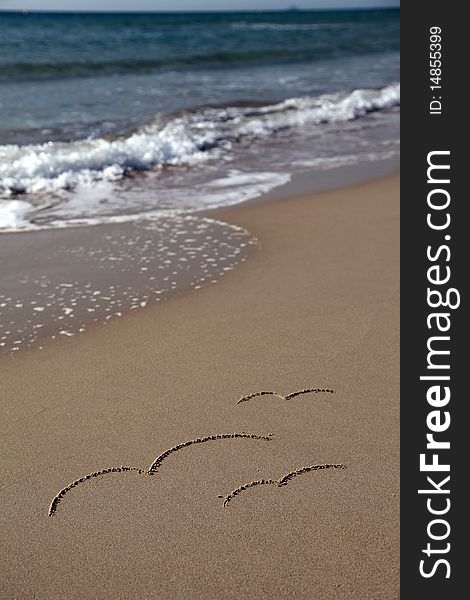 Birds Symbols made in sand on Beach.Sea in background. Birds Symbols made in sand on Beach.Sea in background.