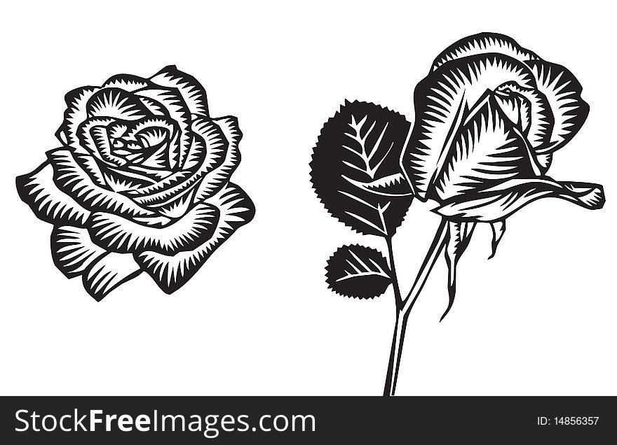 Black and white illustrations of 2 roses