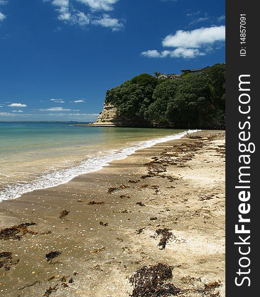 Long Bay beach, North Shore, Auckland, New Zealand