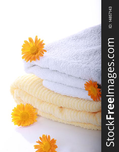 Calendula with terry towels 2