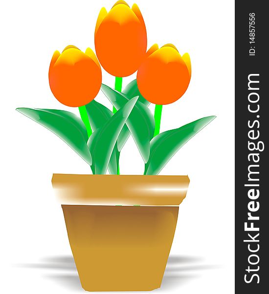 A vector image of a flowerpot with tulips