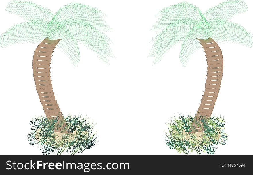 A vector image of two palm trees