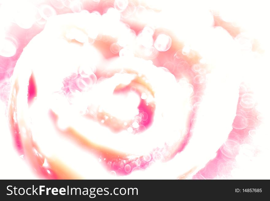 Pink rose, over-exposed and soft focus. Abstract image