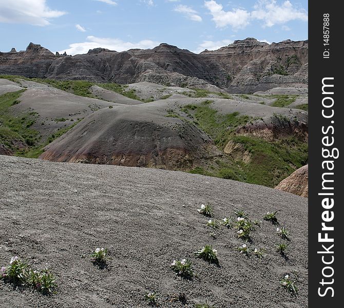 Badlands Of South Dakota, USA